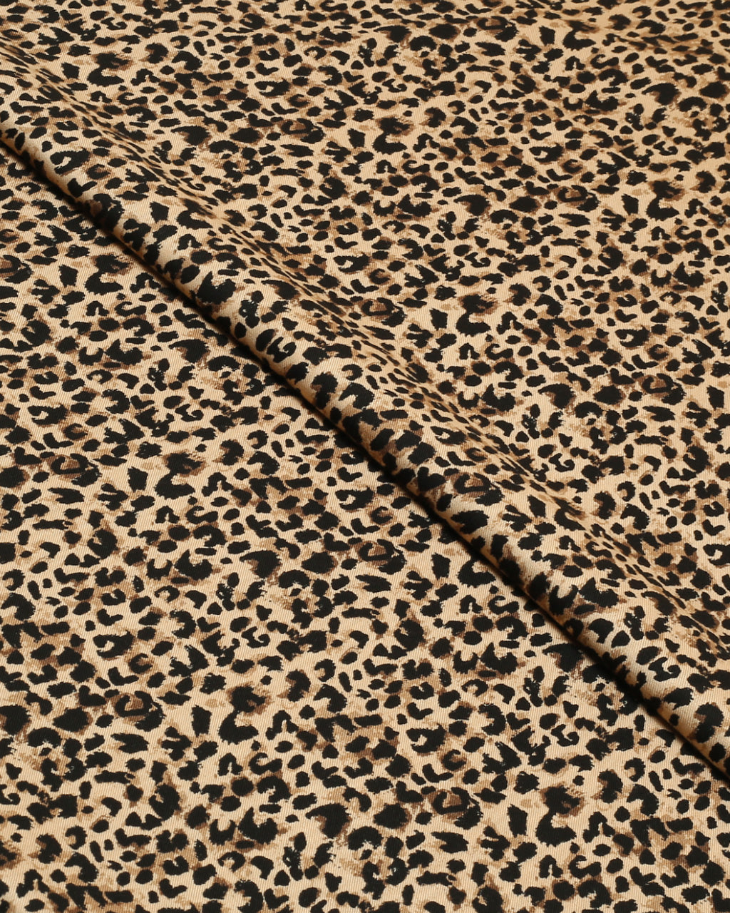 Elegant Leopard Marina 2 Piece