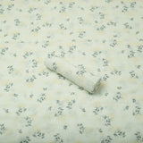 Mint Whisper Lawn 2pc