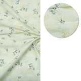 Mint Whisper Lawn 2pc
